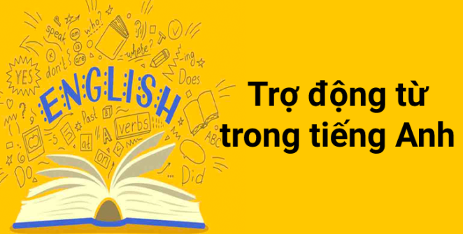 Trợ động từ trong tiếng anh