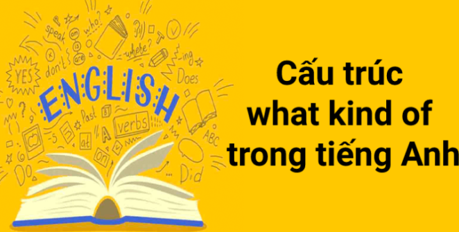 cấu trúc what kind of